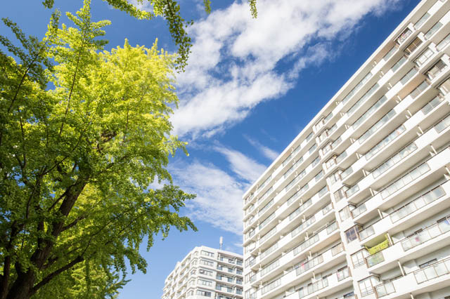 新築・リフォームの写真。テーブルに雑貨が置いてある。